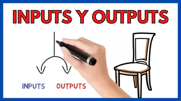 Input y Output